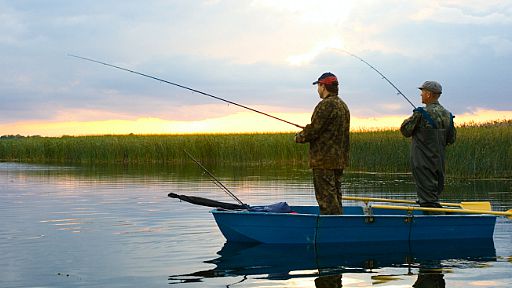 Boat Fishing Tips and Tricks, Blogs